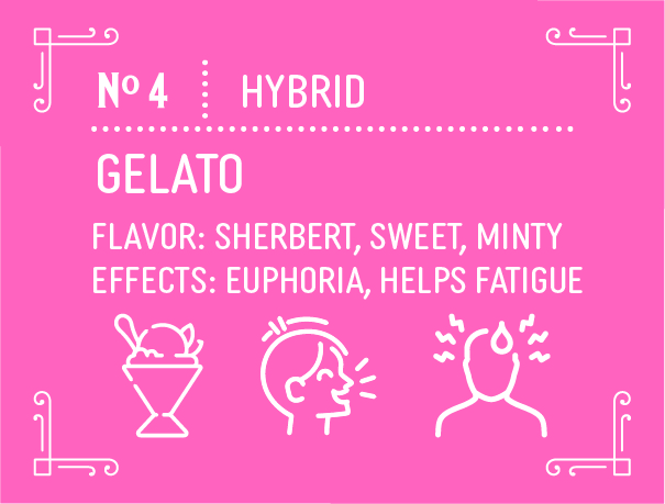 Hybrid Gelato