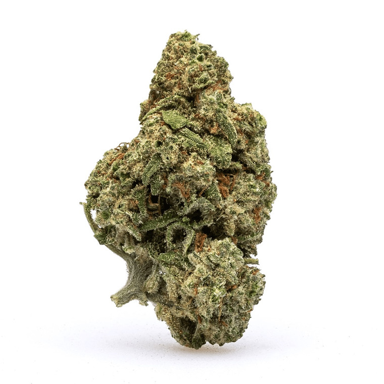 Oreoz (Hybrid): Indulge in a Long-Lasting and Relaxing High with this Strain. Its Aroma Elicits Memories of Campfire S'mores, Infused with Irresistible Notes of Chocolate and Diesel.