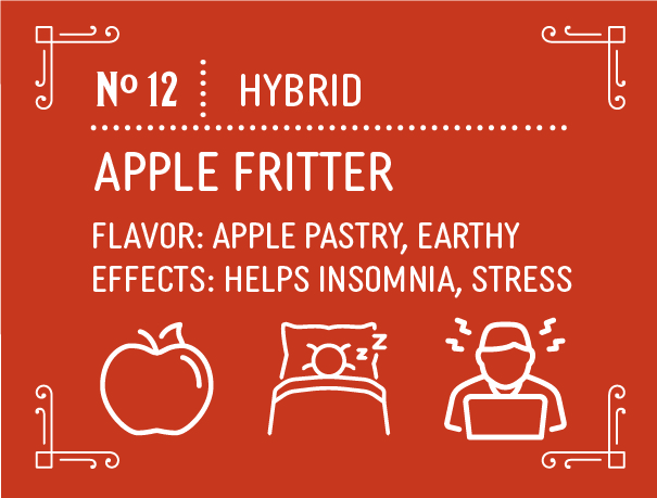 Hybrid Apple Fritter