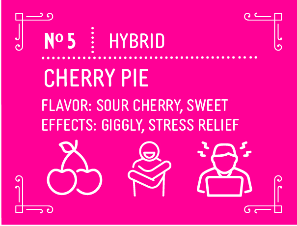 Hybrid Cherry Pie