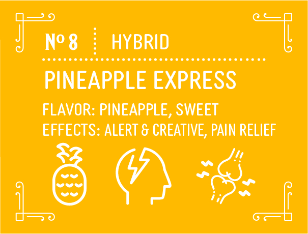 Hybrid Pineapple